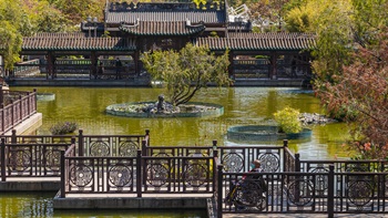 The Zig-Zag bridge that crosses the main pond in the gardens is a popular feature in the garden and allows visitors to get up close to the water and the aquatic life within.